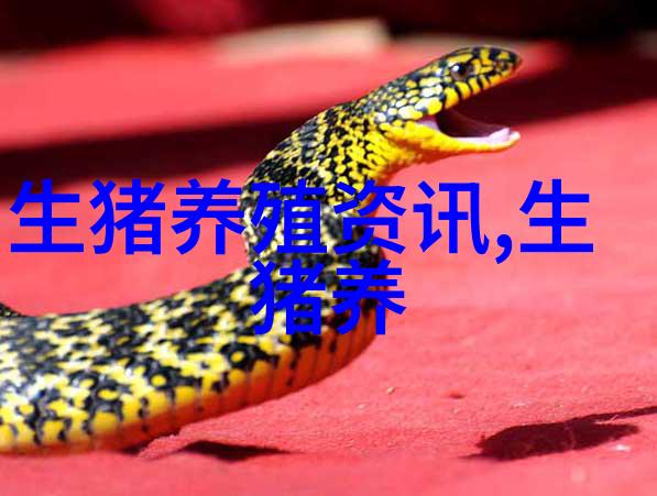 养土鸡技术大全土鸡养殖视频教程